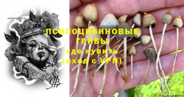 ALPHA PVP Нефтегорск