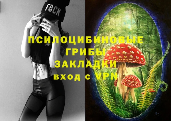 apvp Нефтекумск