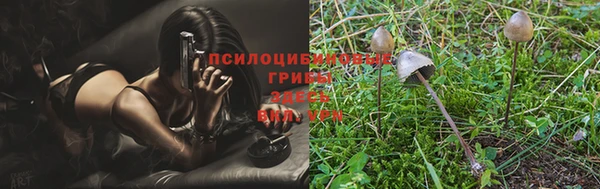 apvp Нефтекумск