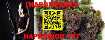 прущие грибы Волжск