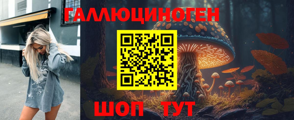 Псилоцибиновые грибы GOLDEN TEACHER  Вход с VPN  Электрогорск  Псилоцибиновые грибы Magic Shrooms 