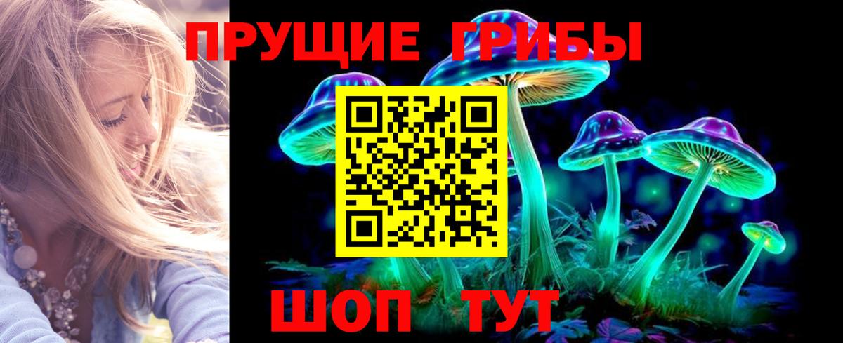 Псилоцибиновые грибы Psilocybe  Псилоцибиновые грибы GOLDEN TEACHER  Электрогорск 